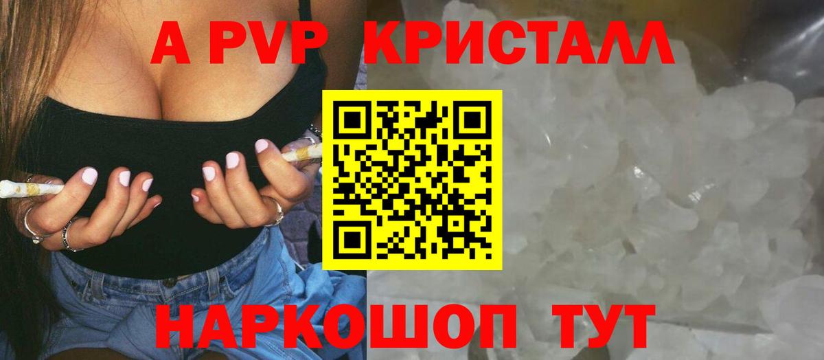 Alfa_PVP СК КРИС Саратов