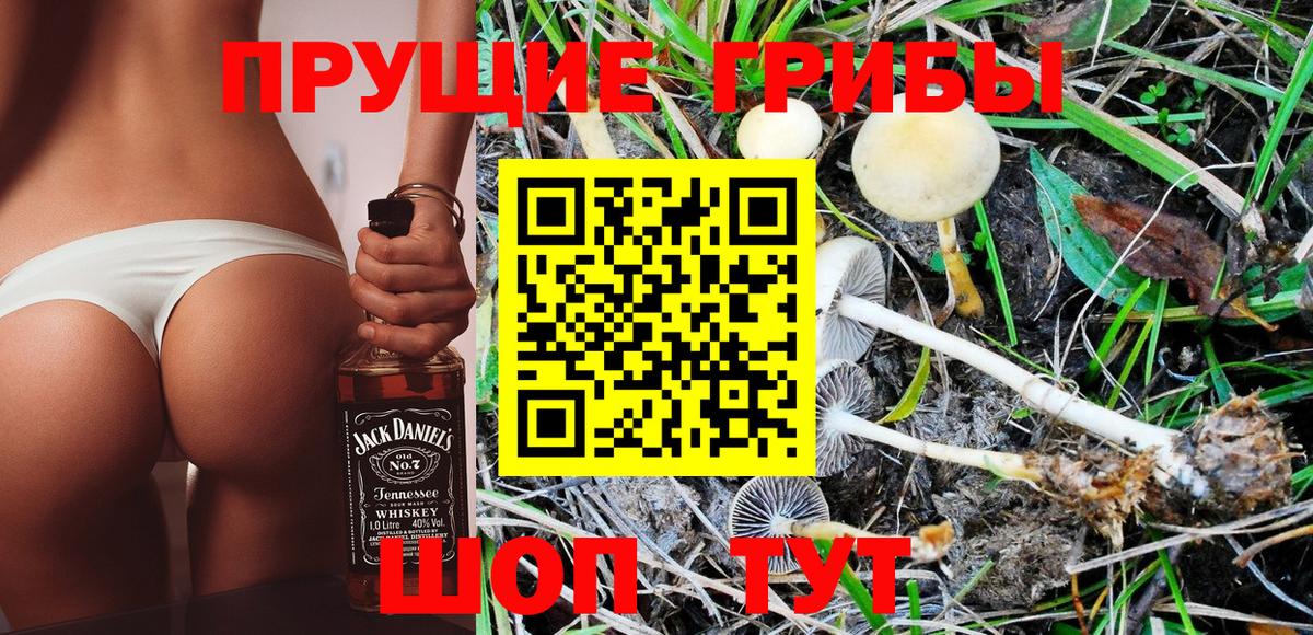 Галлюциногенные грибы MAGIC MUSHROOMS  Вход с VPN  Саратов 