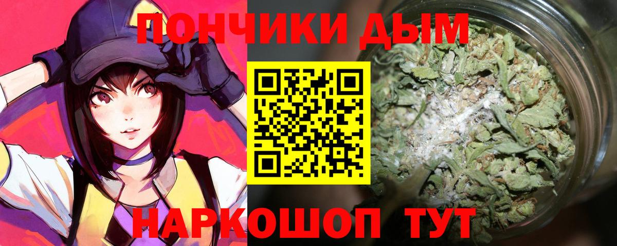 Бошки Шишки планчик Саратов
